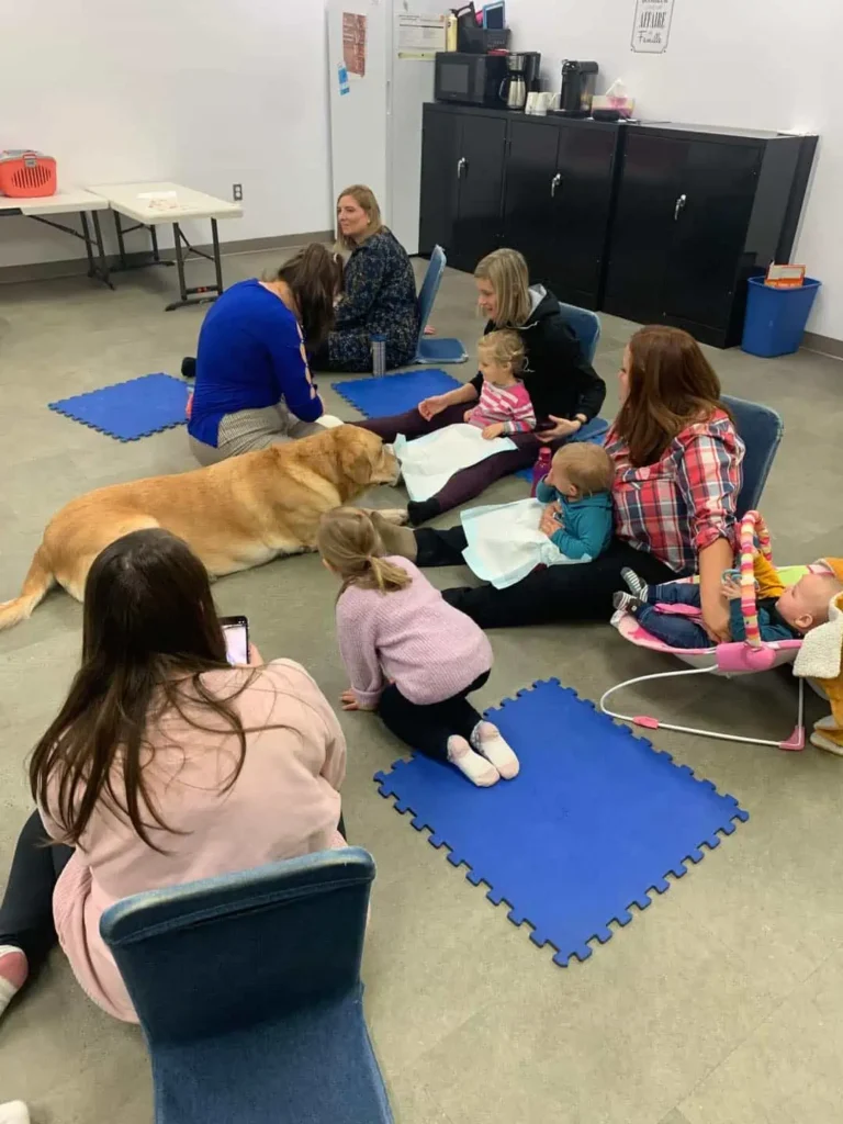 {mb_services_service_items_galerie_service_items_titre}